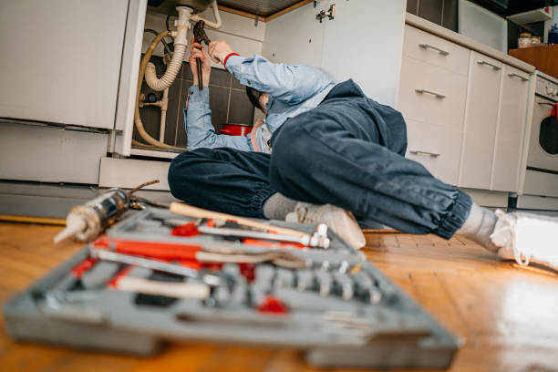 Best Clogged Drain Plumber  in Louisa, KY