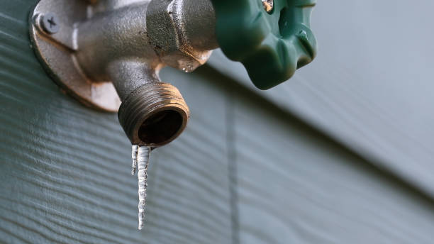 Best Sprinkler Systems  in Louisa, KY